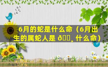 6月的蛇是什么命（6月出生的属蛇人是 🌸 什么命）